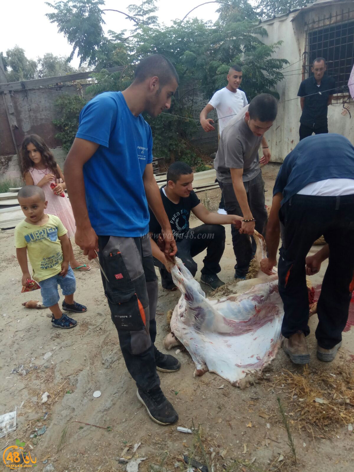 dab7 ada7y wu3ed (32).jpg